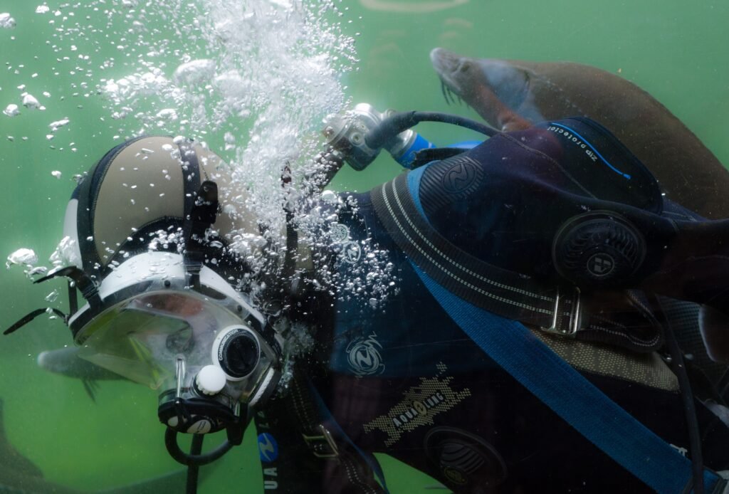Scuba diver exploring the underwater world