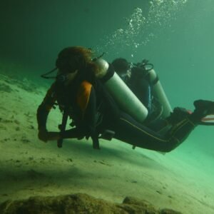 Divers exploring the ocean during a guided dive