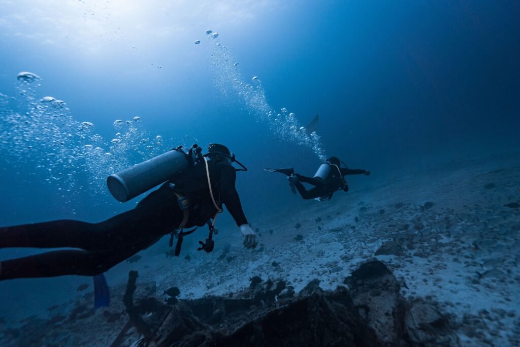 Scuba diver surrounded by marine life