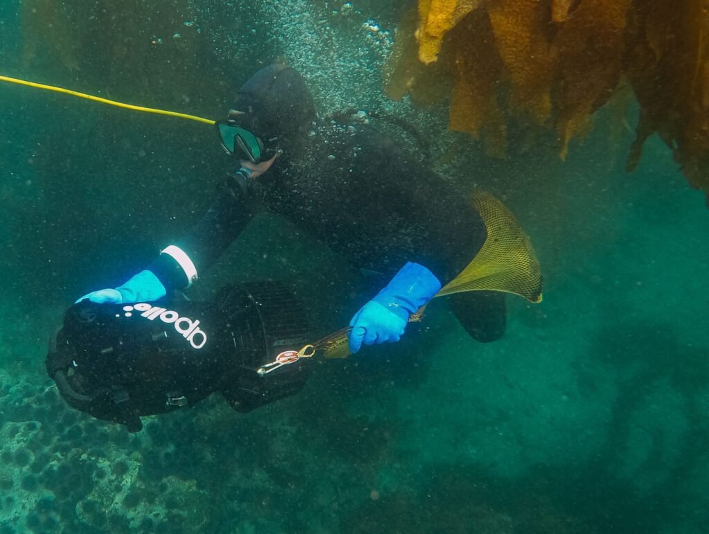 Scuba diving instructor demonstrating a skill underwater