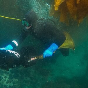 Scuba diving instructor demonstrating a skill underwater