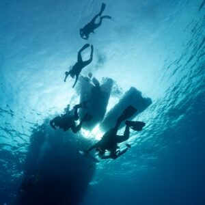 Silhouetted divers ascending toward the surface