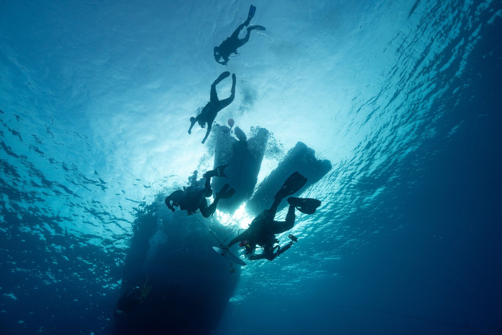Silhouetted divers ascending toward the surface
