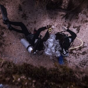 Scuba diver exploring the seabed