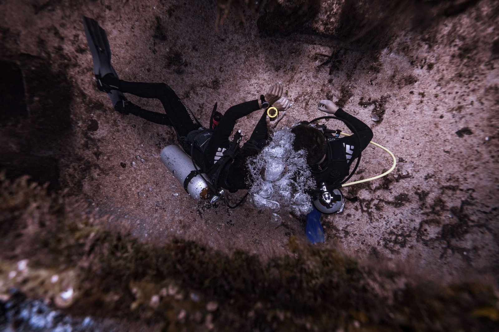 Scuba diver exploring the seabed