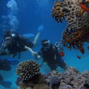 Divers among a vibrant coral reef full of marine life