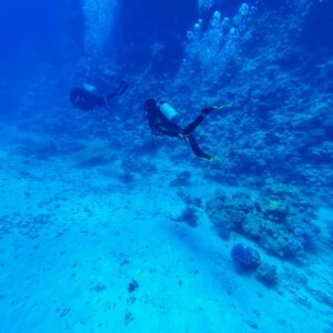 Divers exploring a coral reef underwater