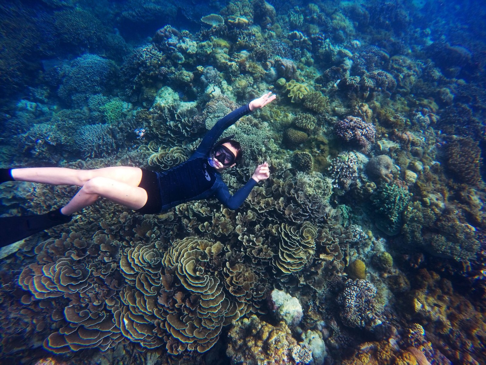 Person snorkeling over a colorful coral reef
