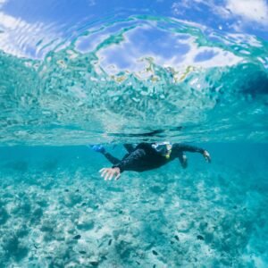 Diver in a wetsuit swimming over the seabed in clear water