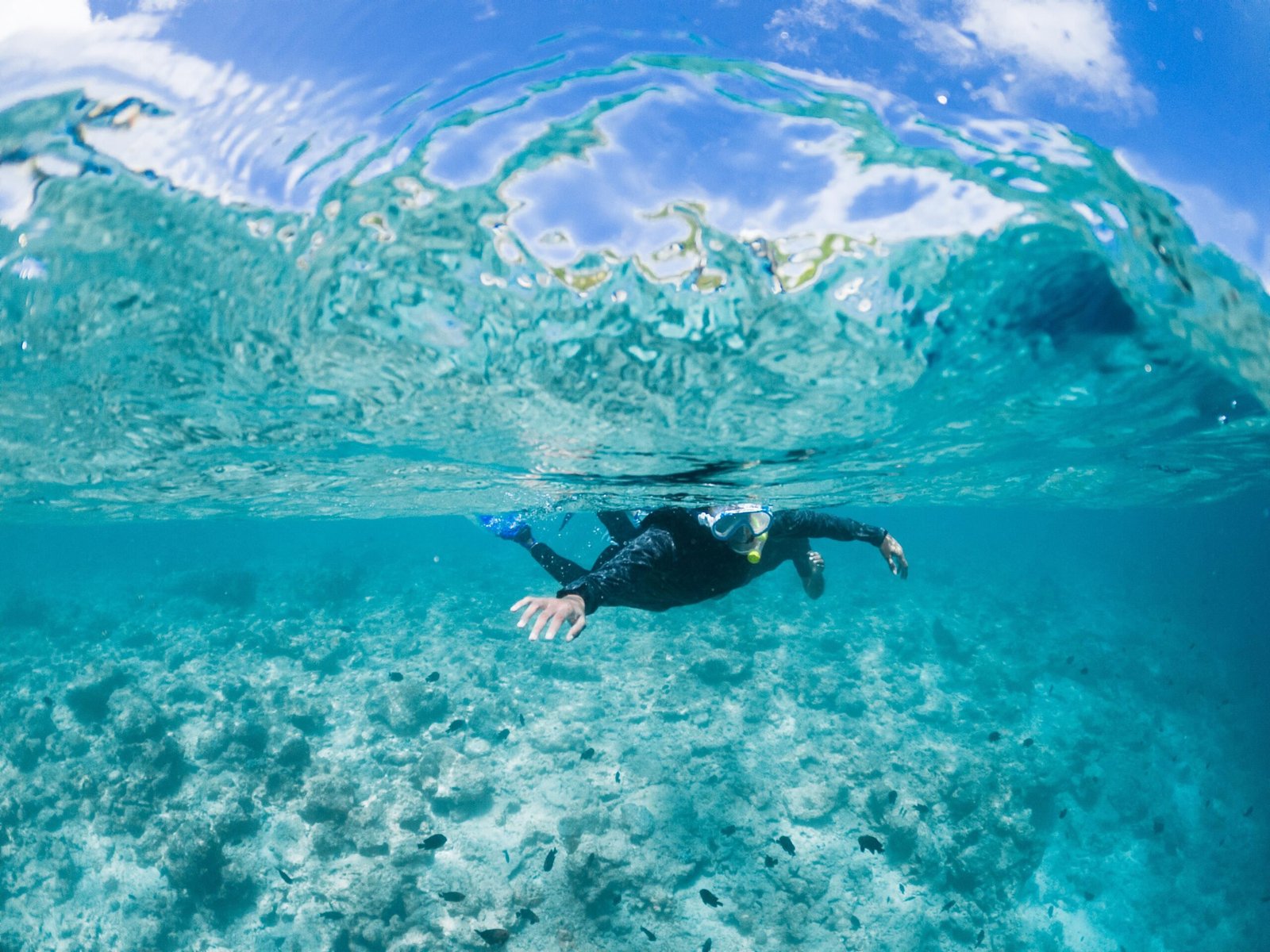 Diver in a wetsuit swimming over the seabed in clear water