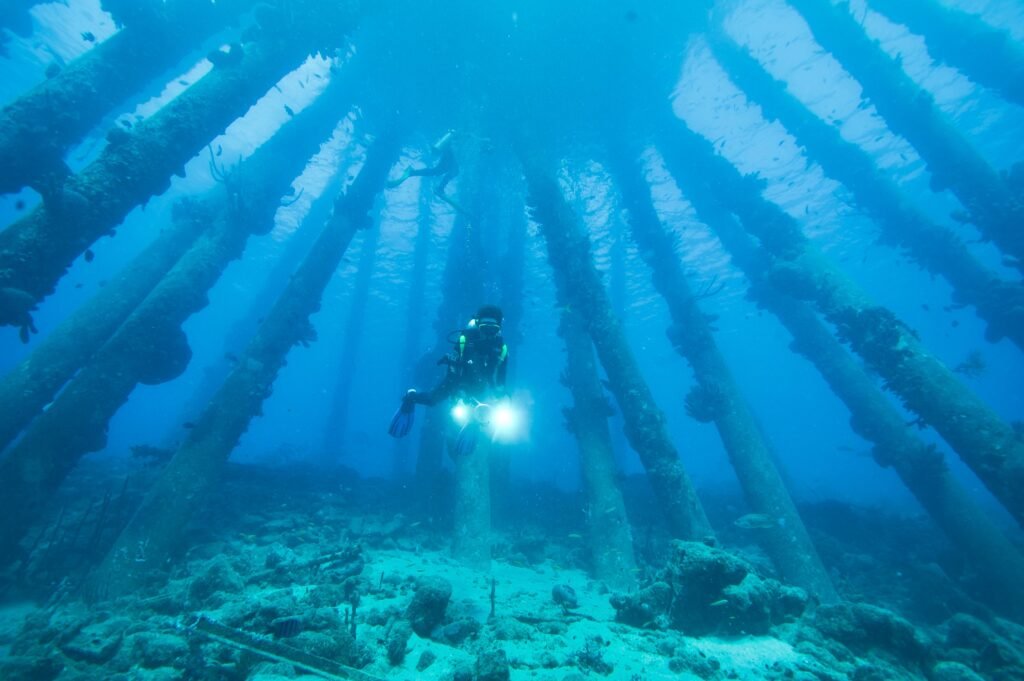 Scuba diver near a coral reef